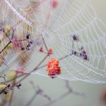 爱美剧第一美剧:探索那些让你心动的经典剧集与角色 ewocbwx