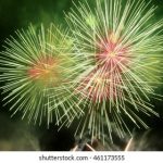 爱看影院:探索电影世界的无限魅力与精彩 fmknk