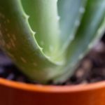 爱迪影视下载:畅享高清影视资源,轻松获取热门影片! gf5nd0dpnk