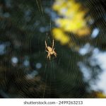 爱美剧app官方网站入口:畅享最新美剧资源,尽在指尖轻松获取! j4z55yp