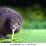 爱说笑社群app下载:让你轻松找到志同道合的朋友,畅享欢乐时光! qbsg4okx