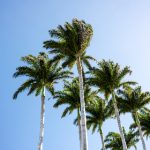 爱美剧天堂:追寻最热美剧,畅享精彩影视盛宴 qlx5ij3