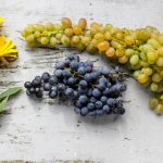 真不卡影视官方网址最新:畅享高清影视资源,尽在这里! g6b1y58