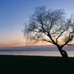 看美剧的APP:畅享精彩剧集,随时随地追剧无忧 nn9ap3